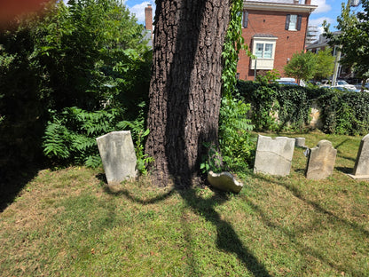 Historic Walnut Pen — Walker–Benson Series